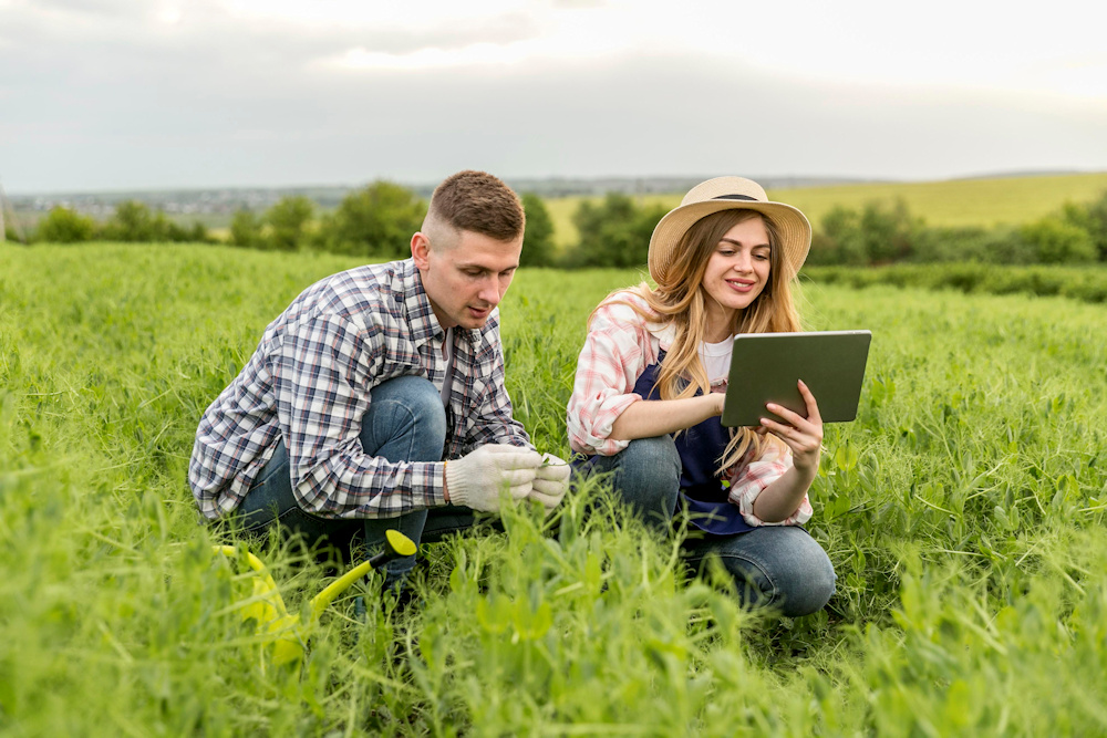 IoT reduce más de un 30% los cortes de comunicación en zonas rurales españolas
