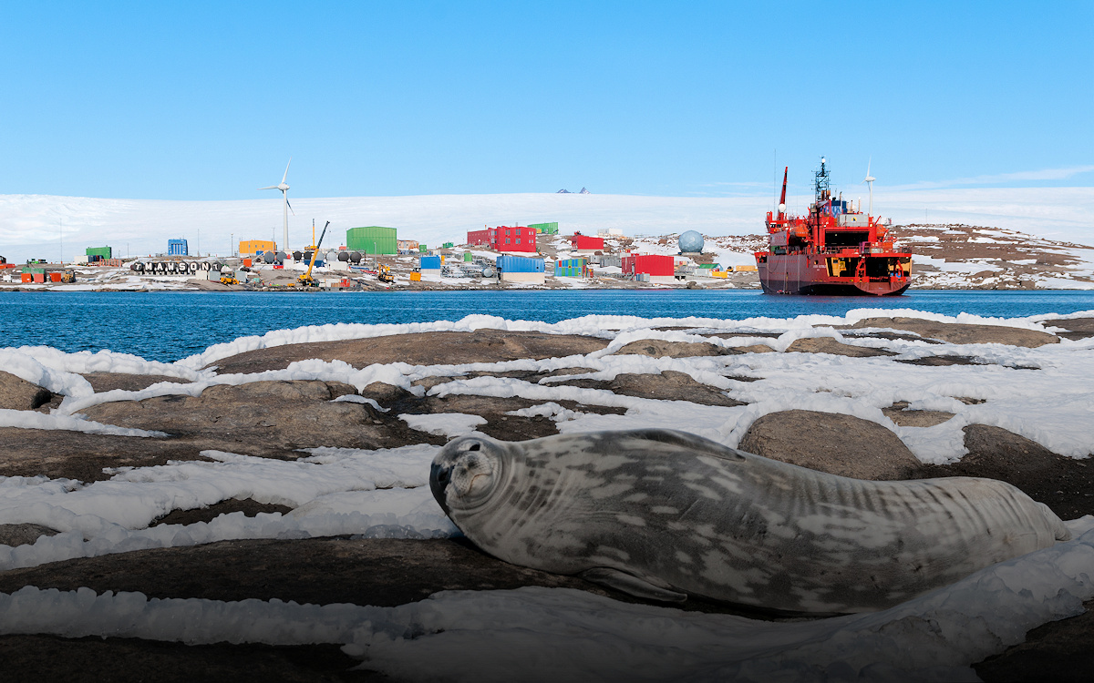 Speedcast despliega una solución de conectividad multisitio en la Antártida para la División Antártica Australiana