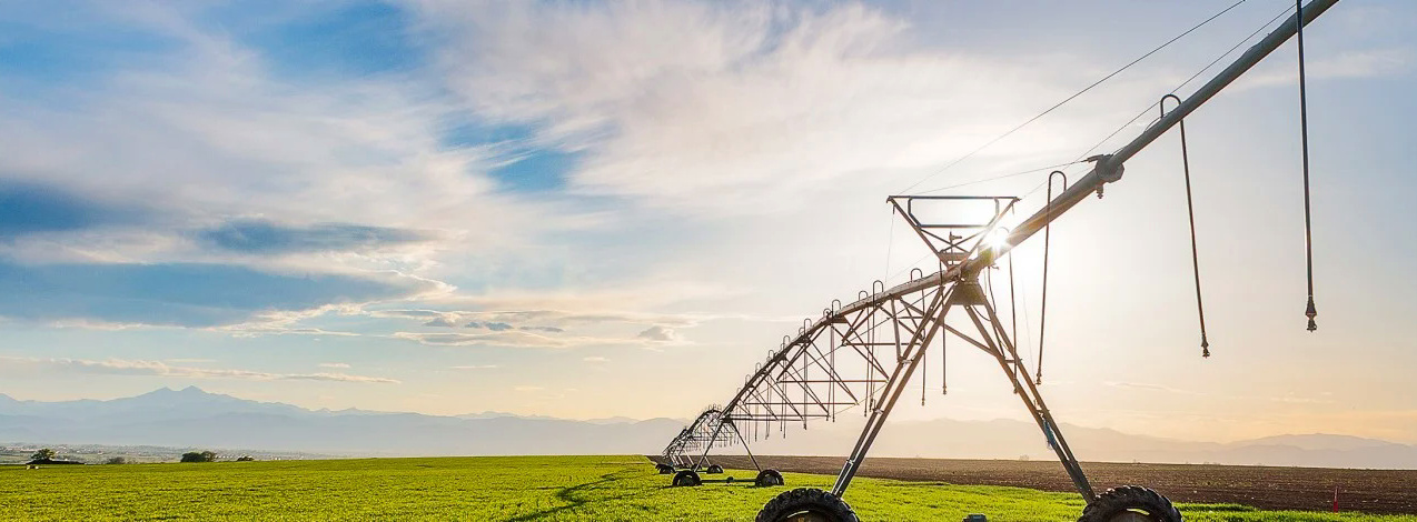 La conservación del agua, máxima prioridad de las empresas agrícolas ante la amenaza de sequía
