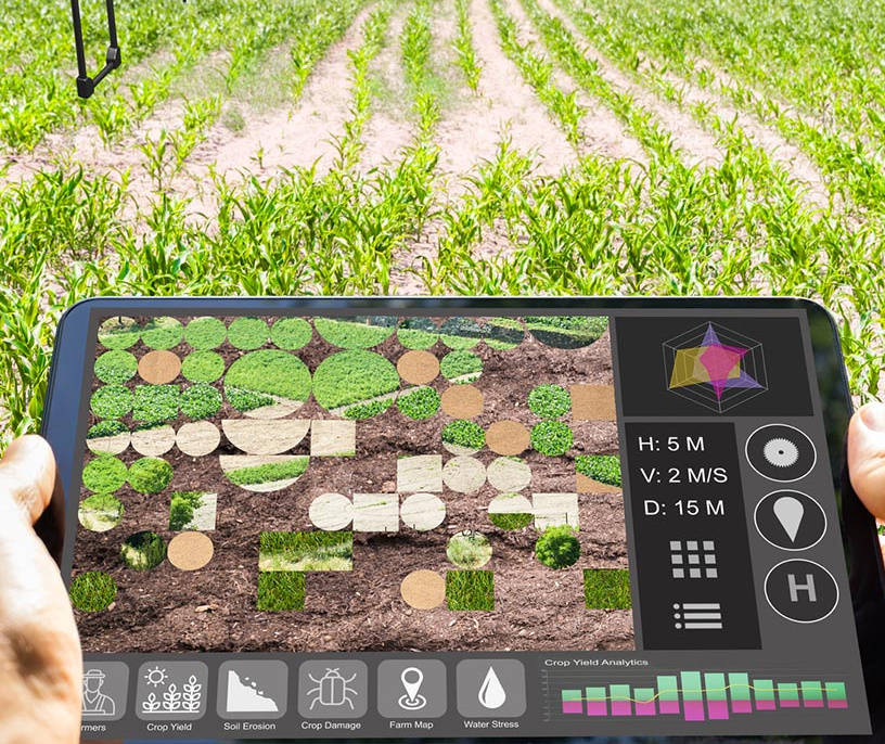 El mercado de la agricultura de precisión crecerá en 6.094,8 millones de dólares para 2028 impulsado por IoT y IA