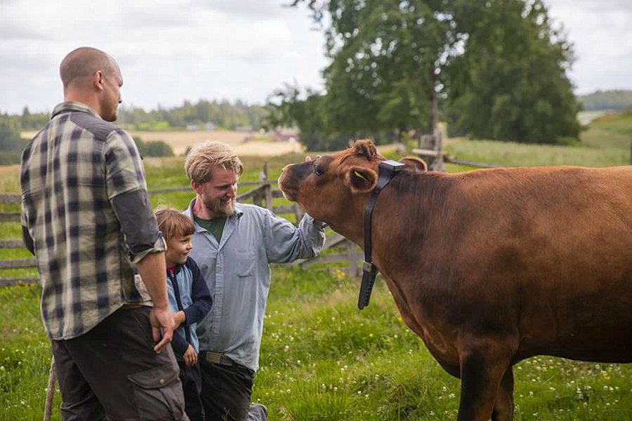 Una valla virtual para el ganado con IoT celular y Bluetooth LE de Nordic ofrece una solución agrícola sostenible