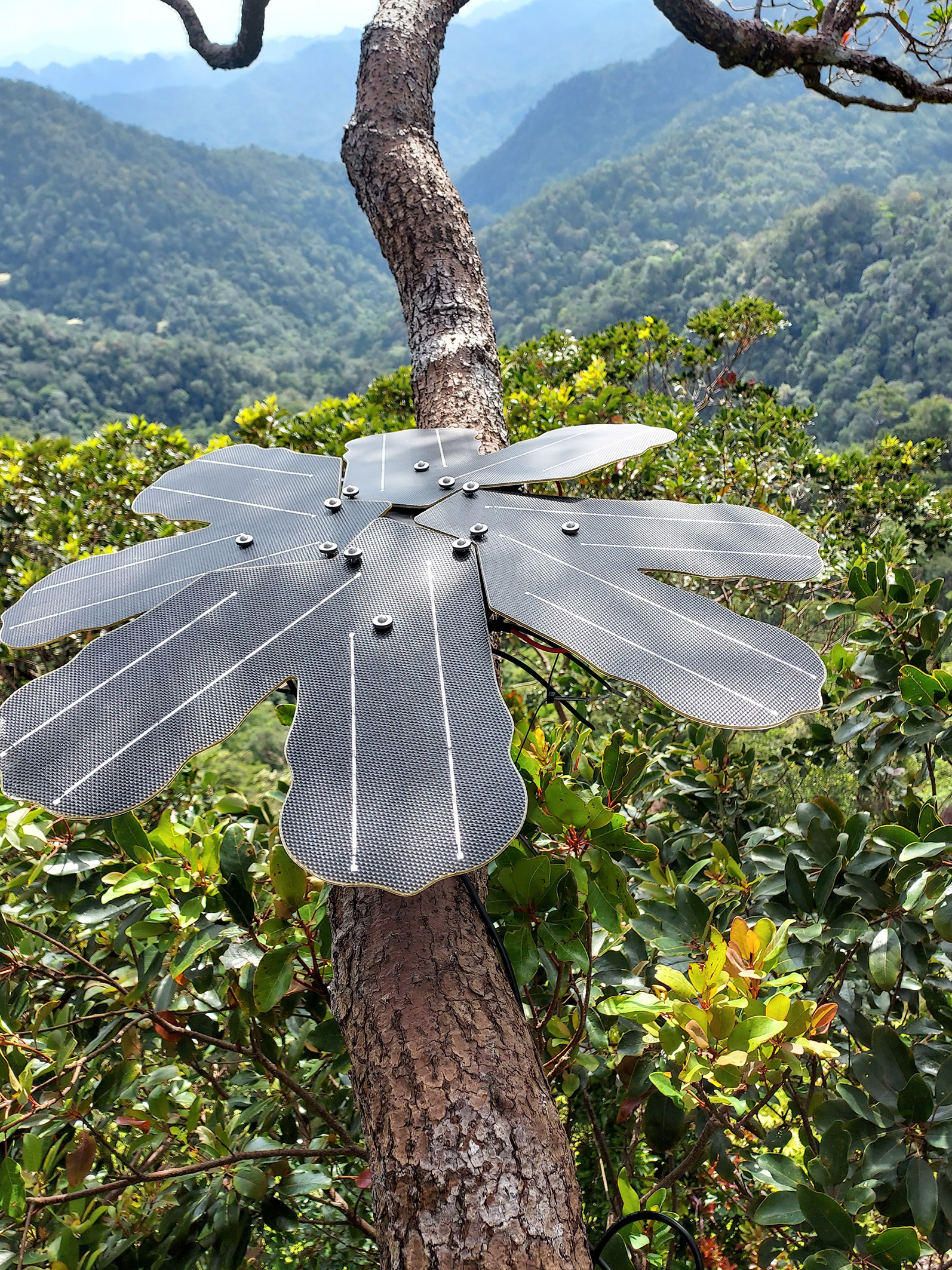 Infineon Technologies y Rainforest Connection utilizan tecnología de sensores para proteger regiones vulnerables como la selva tropical 