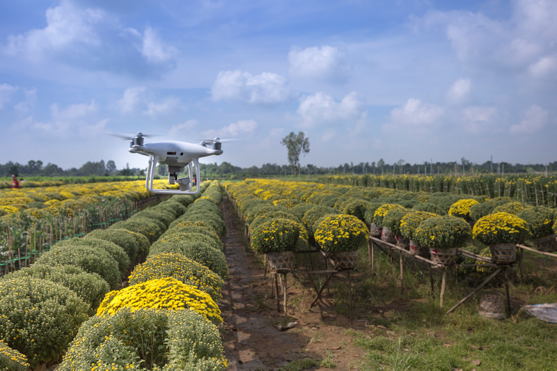 Un webinar de AIOTI y 6G IA promueve un innovador white paper sobre el impacto del 6G en la agricultura