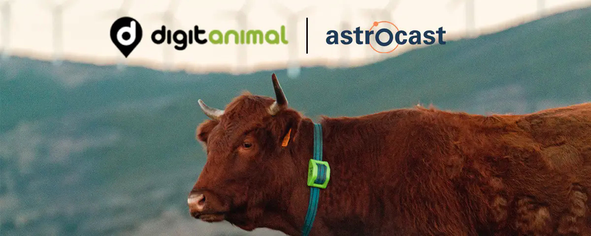 Astrocast y Digitanimal mejoran la gestión del ganado mediante una asociación global