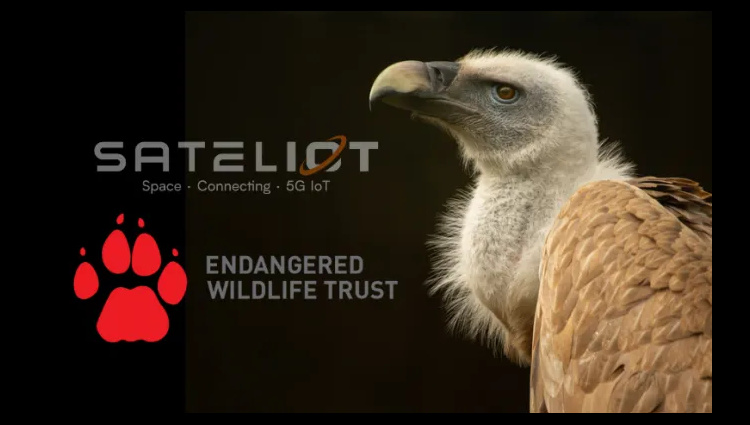 Sateliot y EWT revolucionan la conservación de la fauna salvaje en el sur de África con satélites 5G IoT