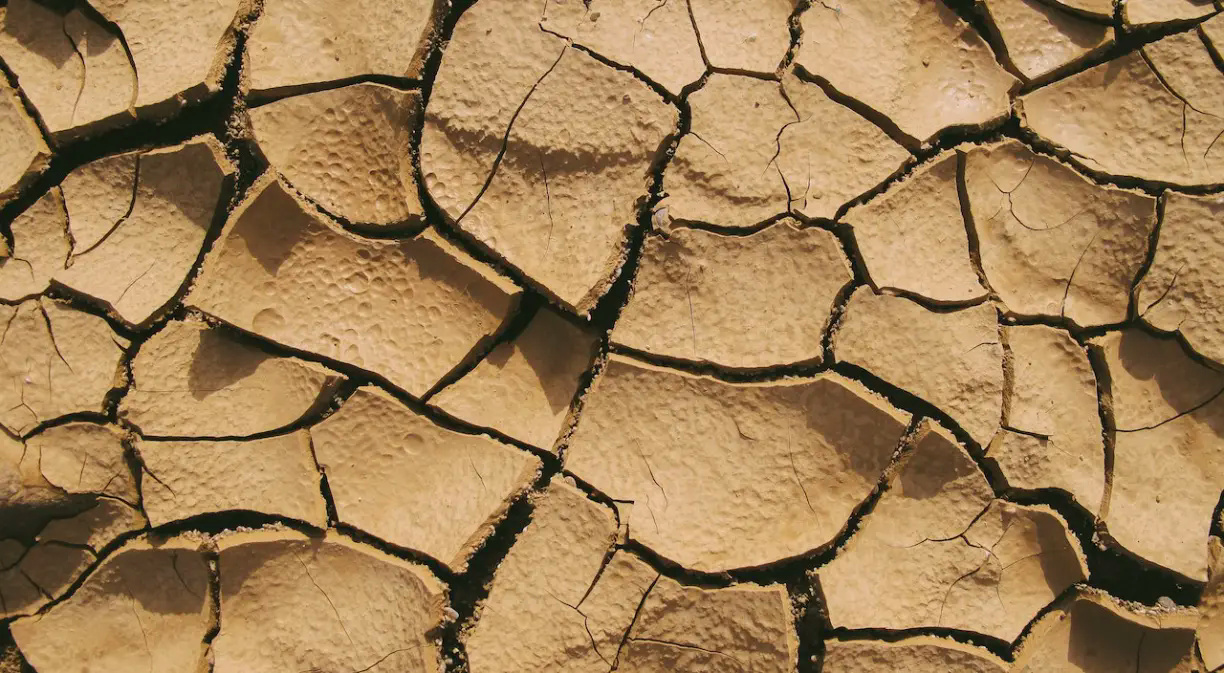 Digitalización para frenar la sequía: ¿cómo puede ayudar la tecnología?