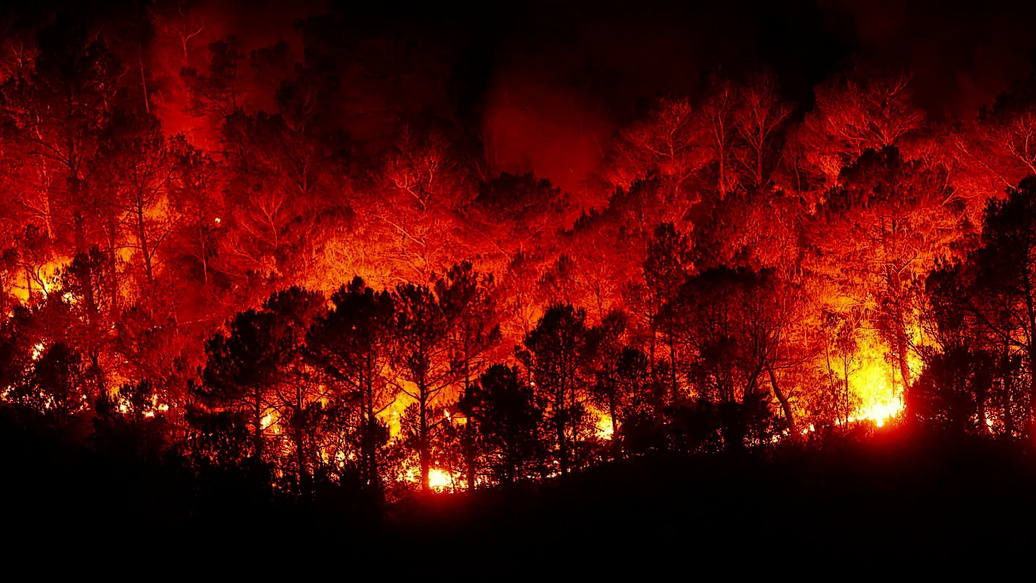 Detección temprana de incendios forestales con Dahua y ACOT de Chile