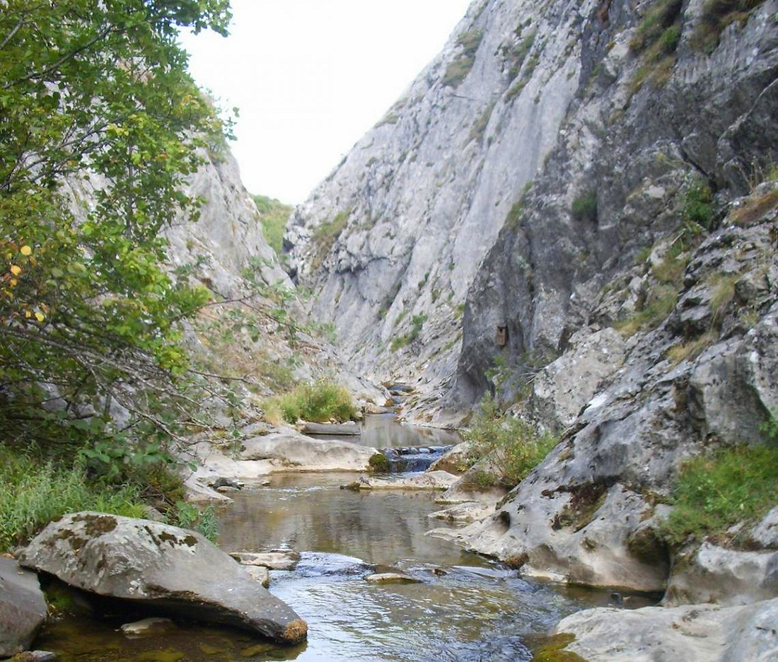 La Universidad de León lidera la digitalización del regadío en la cuenca del río Torío