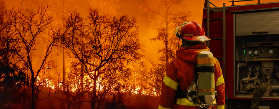 Dryad Networks y Kinéis se asocian para la detección temprana de incendios forestales por satélite