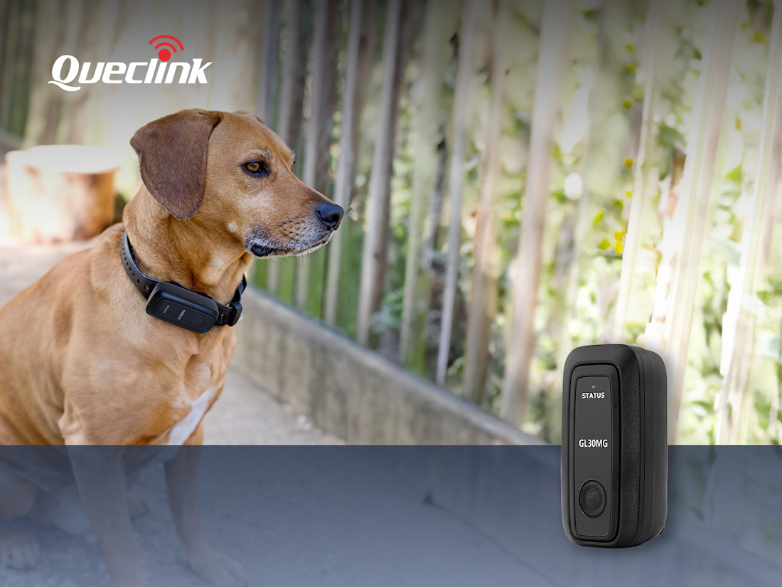 Queclink presenta el GL30, su rastreador IoT más pequeño con conectividad LTE Cat M1/NB2 Queclink presenta el GL30, su rastreador IoT más pequeño con conectividad LTE Cat M1/NB2