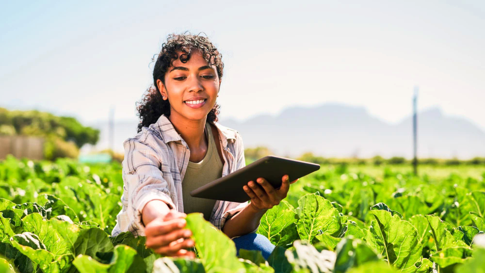 Agricultura inteligente, prevención de catástrofes y gestión del agua con seguimiento de datos por satélite