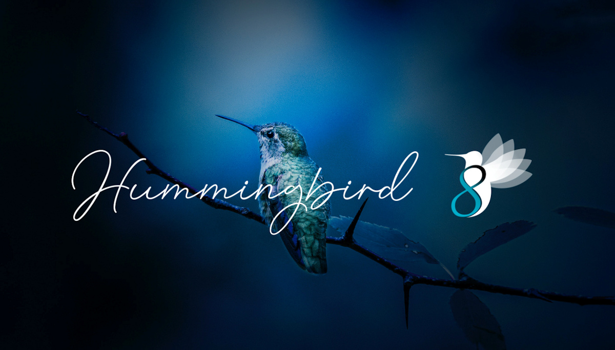 LORIOT anuncia 'Hummingbird', nueva versión de su sistema de gestión de redes para despliegues masivos de IoT